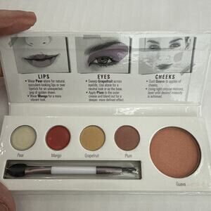 Sheer Cover Studio NEW Lips Eyes Cheek Palette DISCONTINUED Grapefruit & Plum